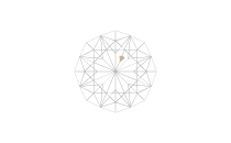 内包物がごくごくわずかに含む（IF）