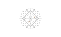 内包物がごくわずかに含まれる（VVS1）