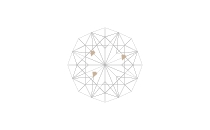 内包物がわずかに含まれる（VVS2）