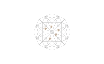 内包物が含まれる（VS1）
